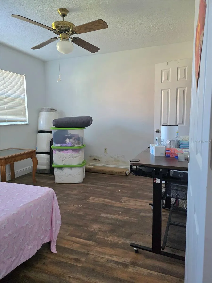Bedroom 2 (note mold on far wall)