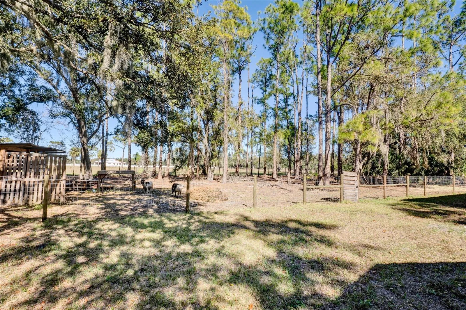 Fenced In Small Animal Area