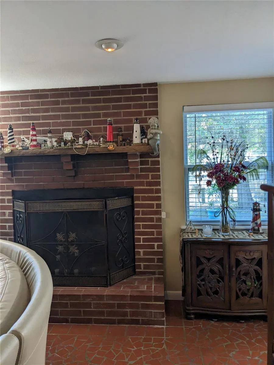 Wood burning fireplace