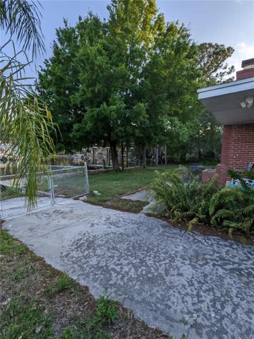 Back yard