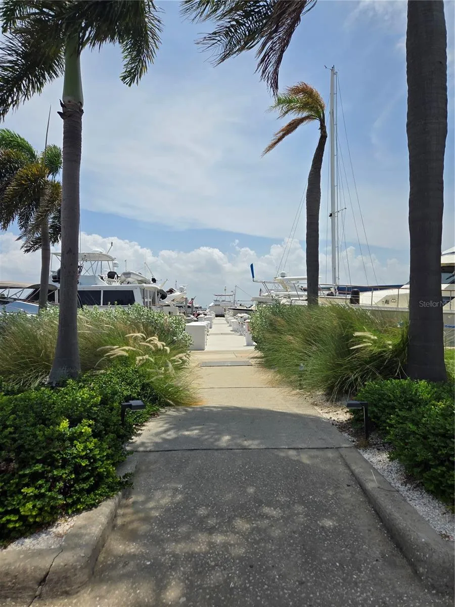 Pier to the slips