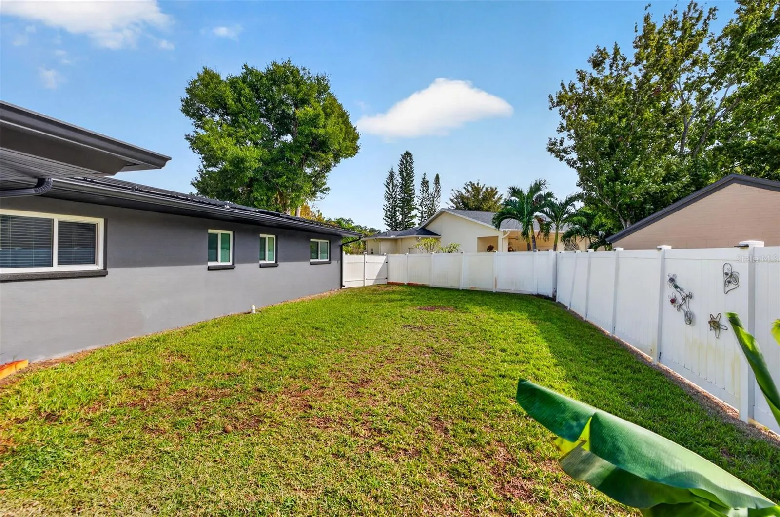 Back yard