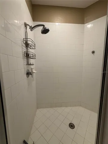 Primary Shower