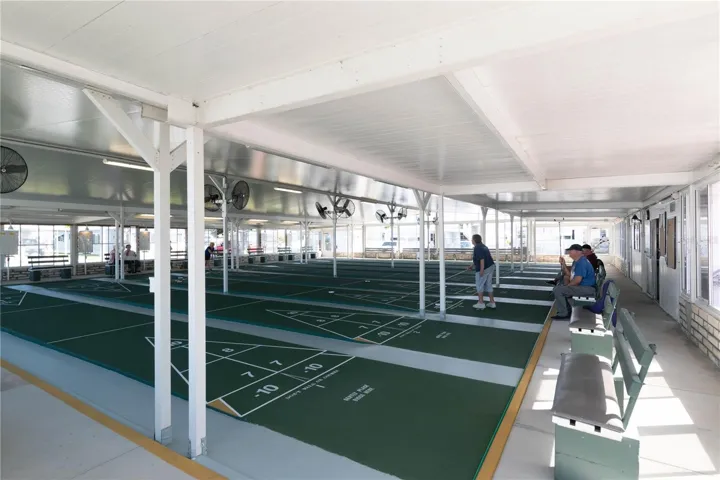 Shuffleboard
