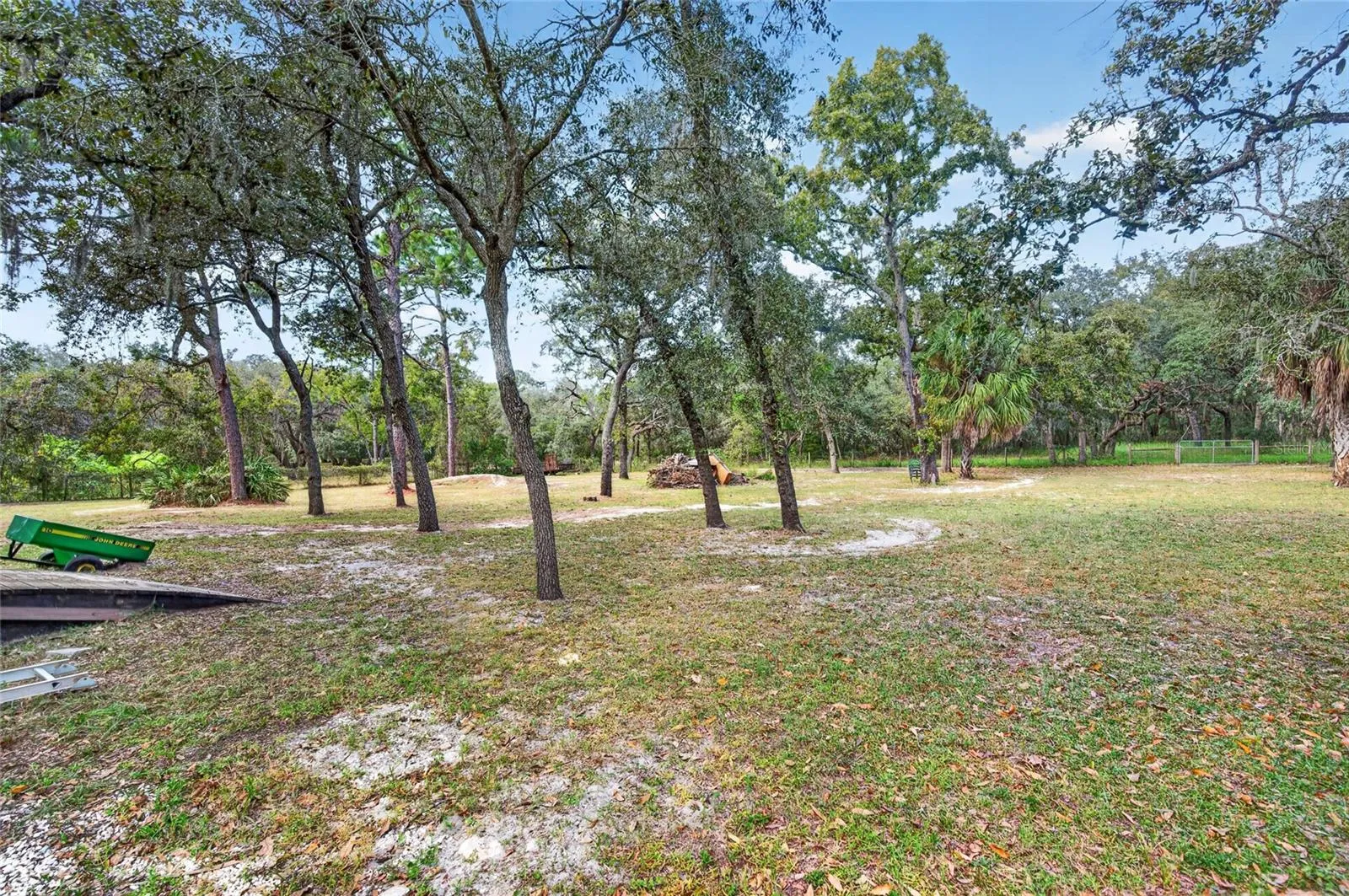 Rear yard overview
