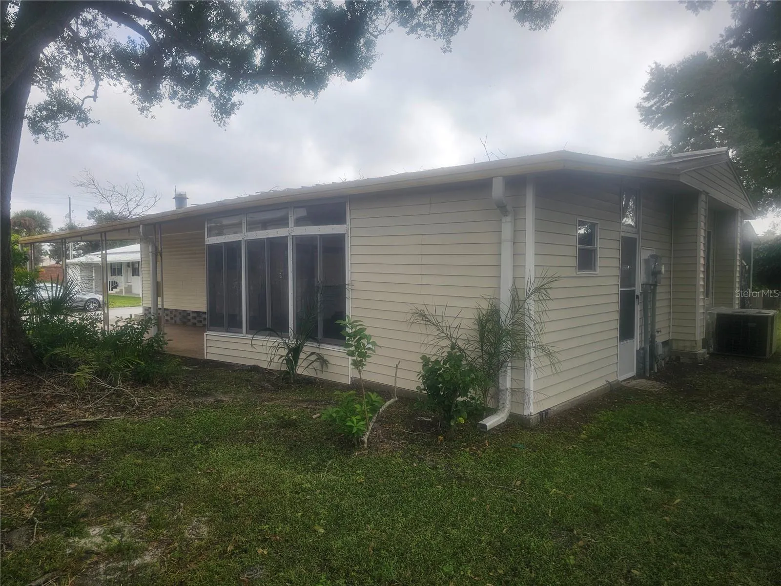 Back/Side Yard