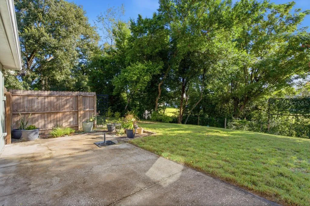 View of backyard space