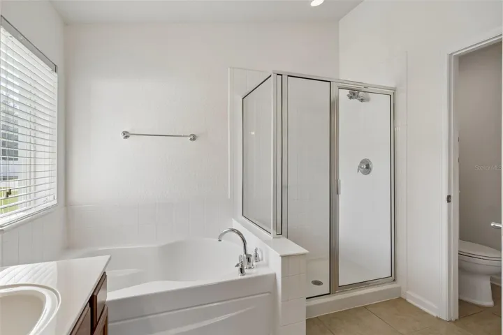 Garden tub and shower