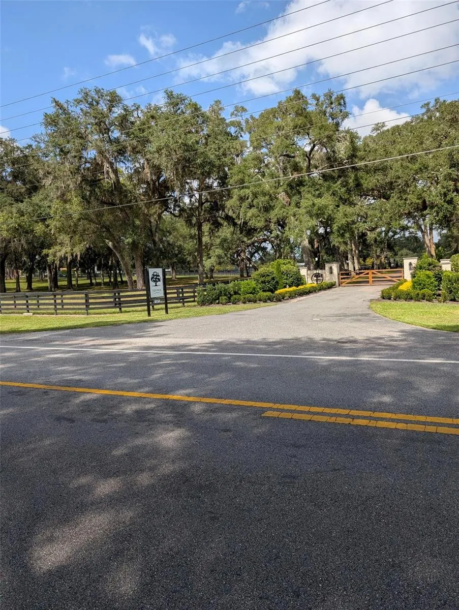 Beautiful Horse Farm right next door to this property!
