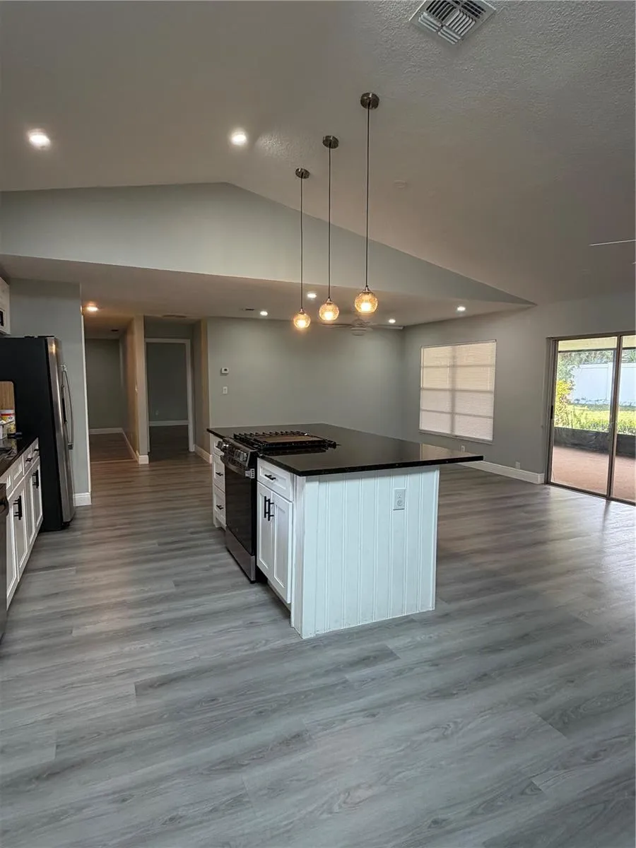 Living/Dining/Kitchen Areas