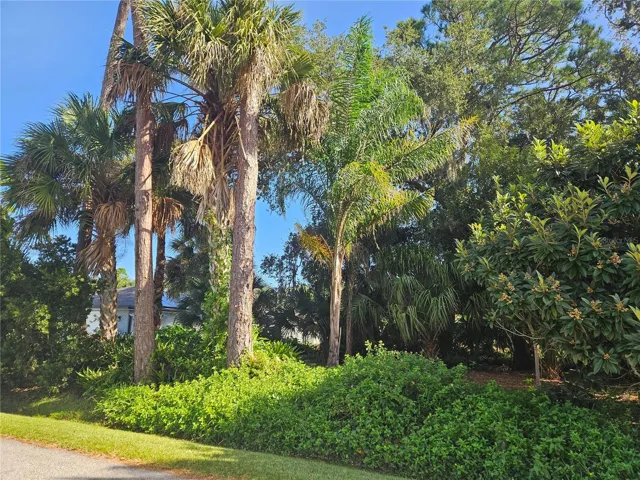 Pine Tree Lot - looking NE
