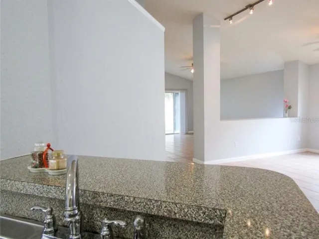 kitchen counter over look the dining room