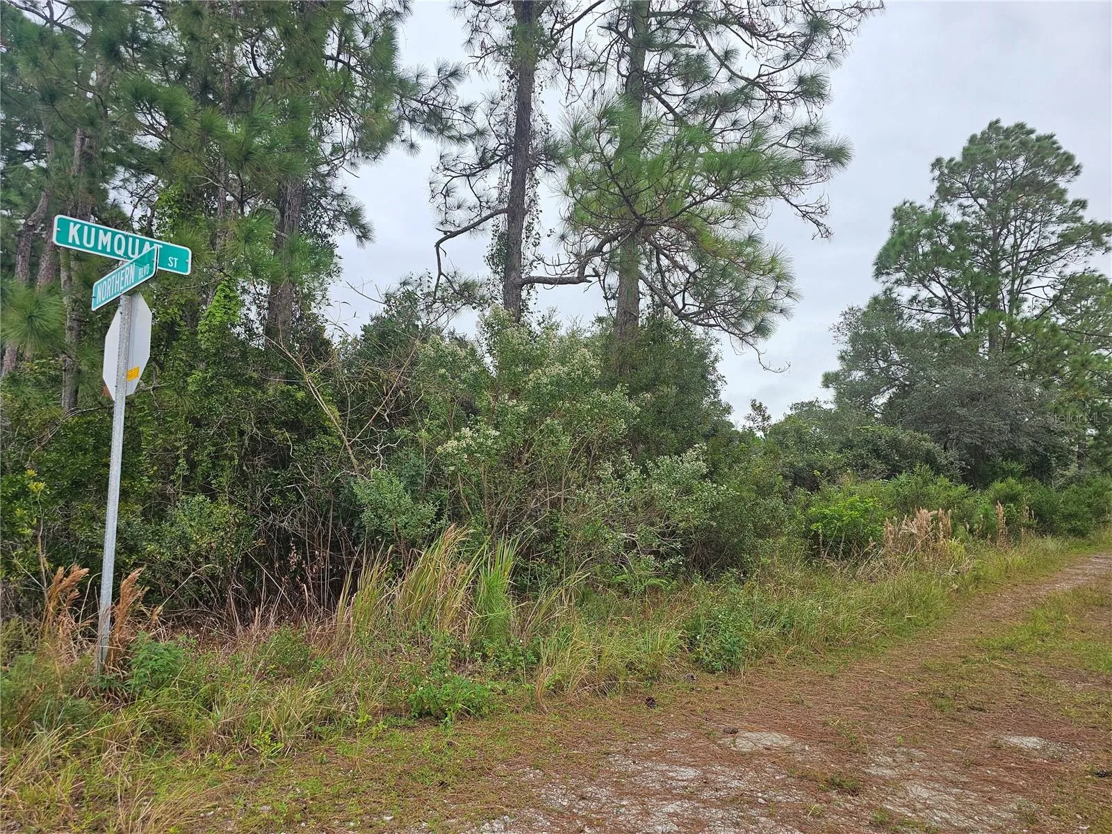 Homes within 1-2 blocks. Electric pole on site.