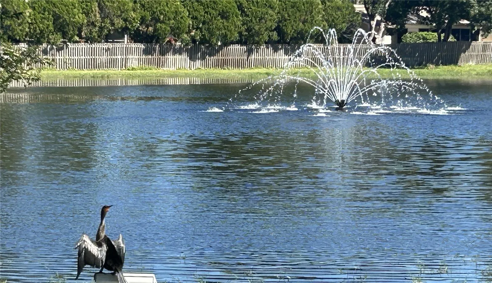 Nearby pond.