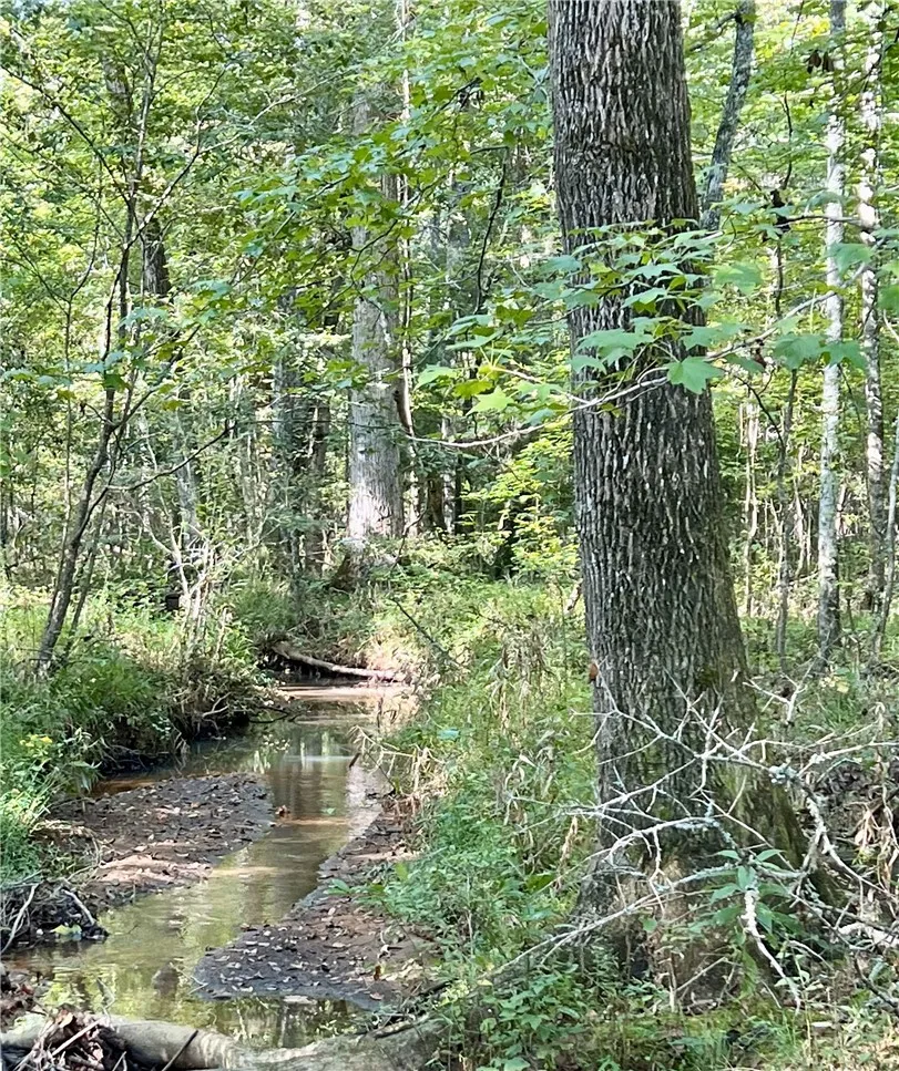 Creek
