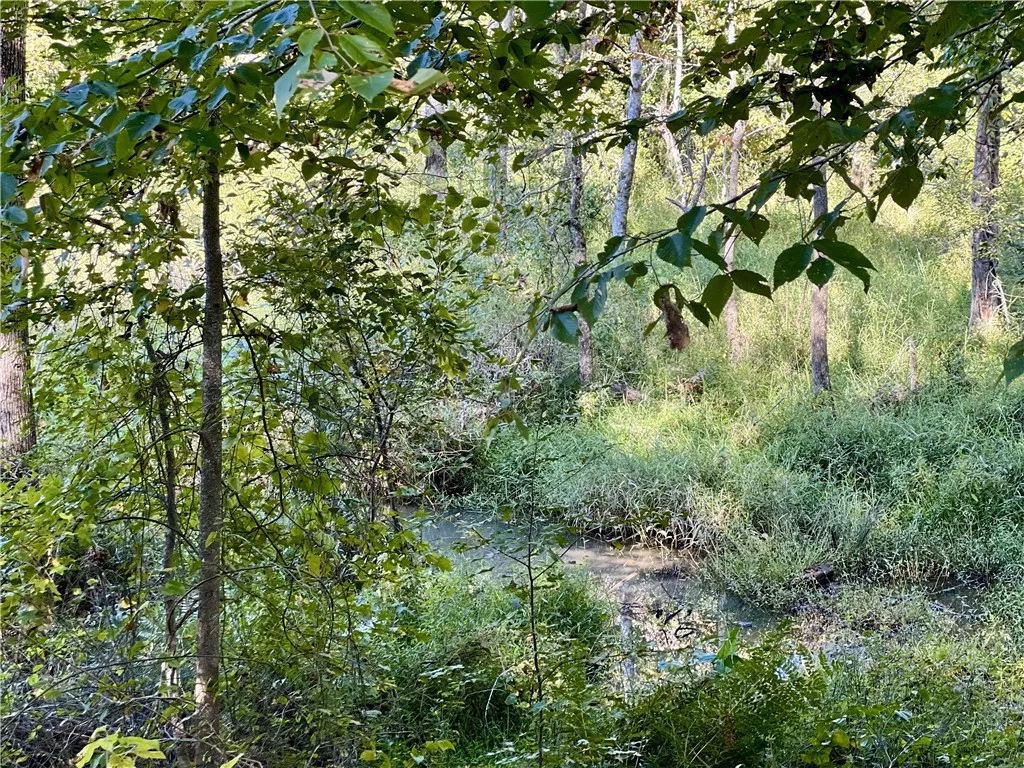 Creek