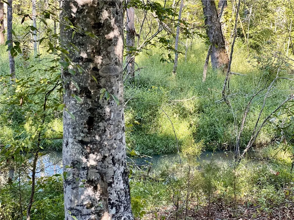 Creek