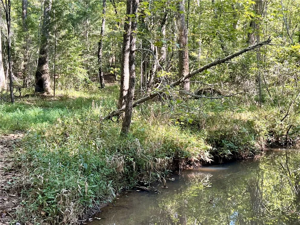 Creek