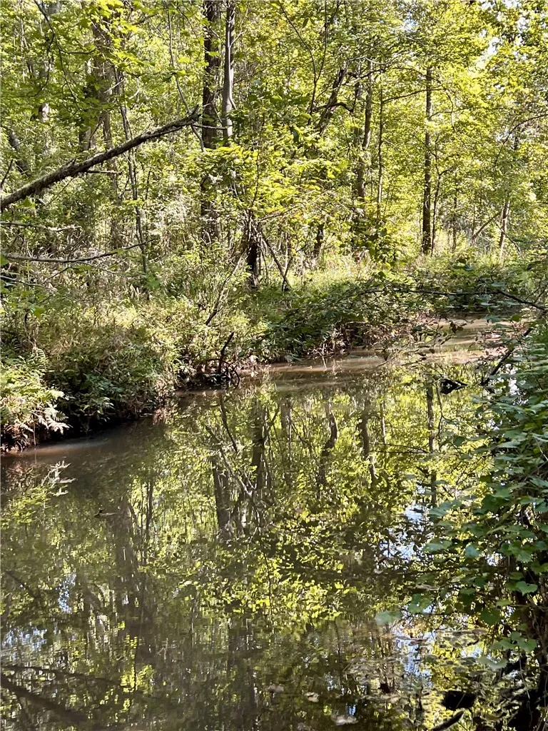 Creek