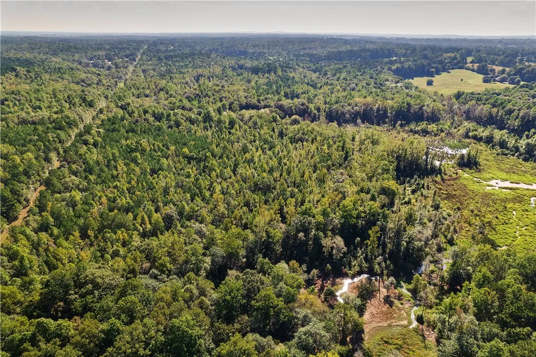 Aerial 7