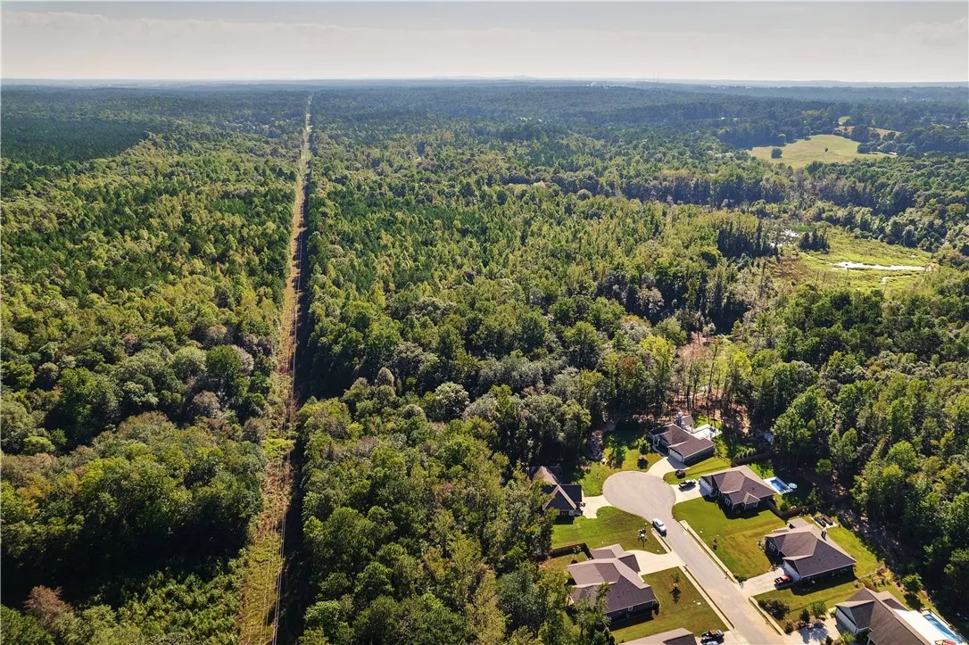 Aerial 4