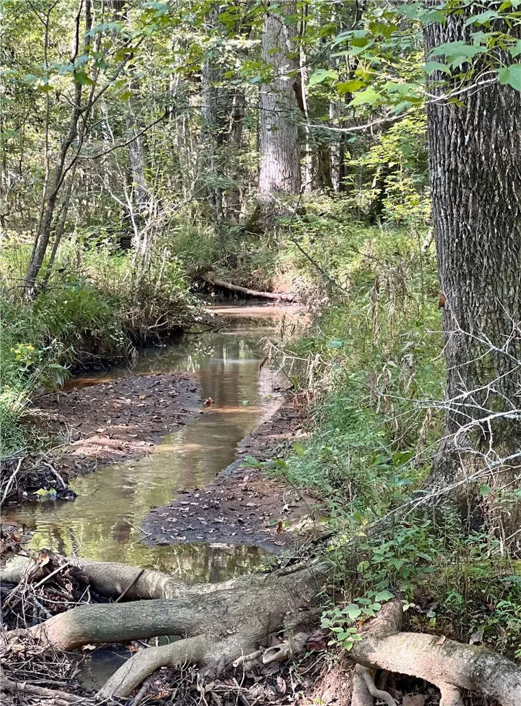 Creek
