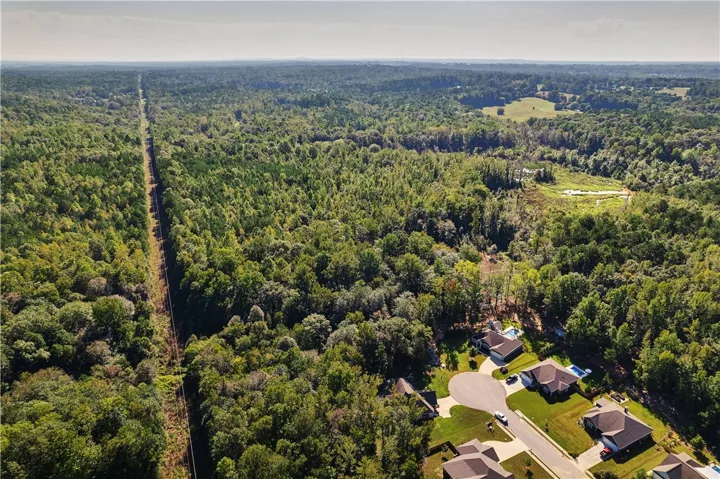 Aerial 5
