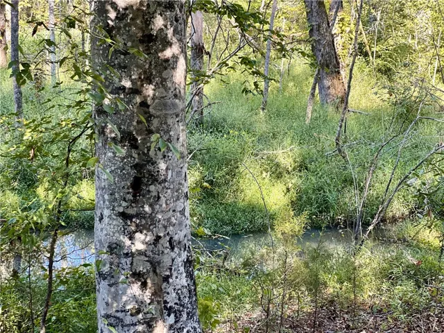 Creek