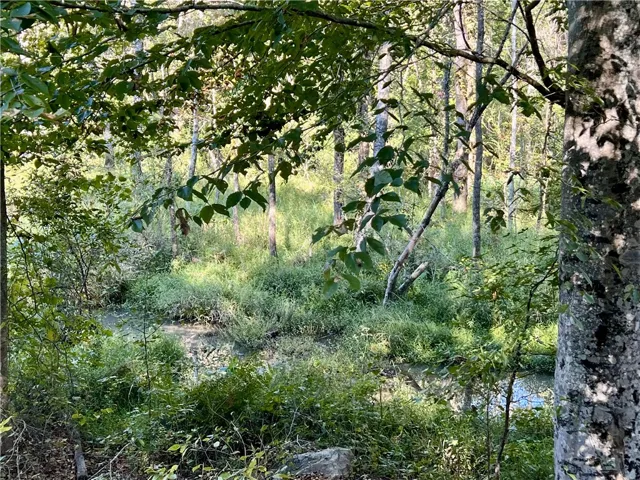 Creek
