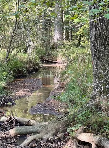 Creek