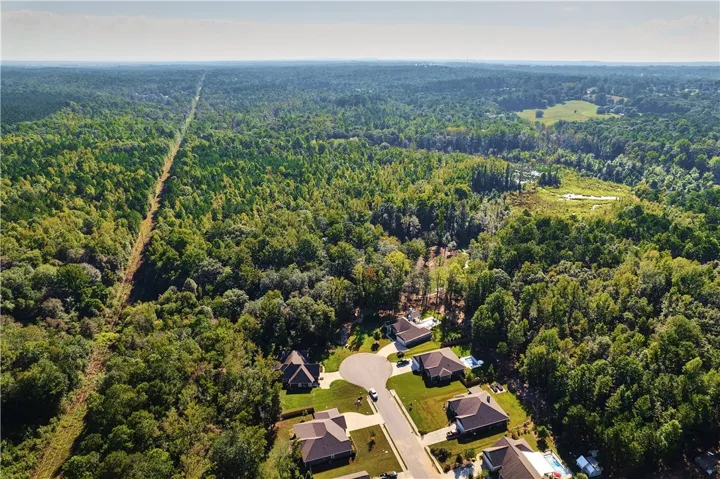 Aerial 1