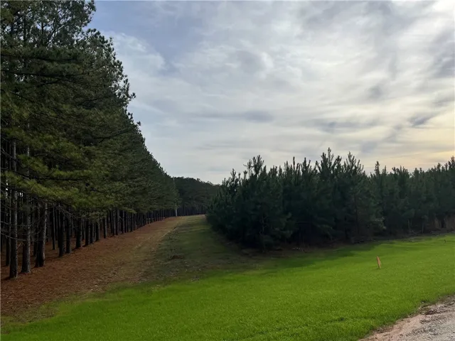 2005 Mourning Dove Lane, Opelika, Alabama 36801