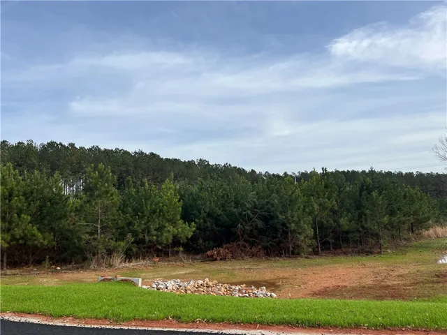2005 Mourning Dove Lane, Opelika, Alabama 36801