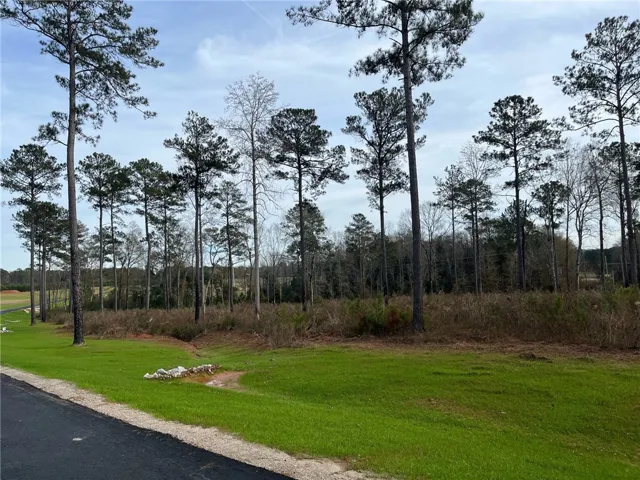 2065 Mourning Dove Lane, Opelika, Alabama 36801