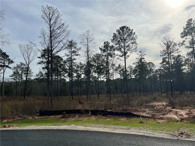 2105 Mourning Dove Lane, Opelika, Alabama 36801