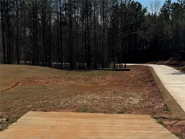 Lot 2a-1 Lee Road 155 N/a, Salem, Alabama 36874