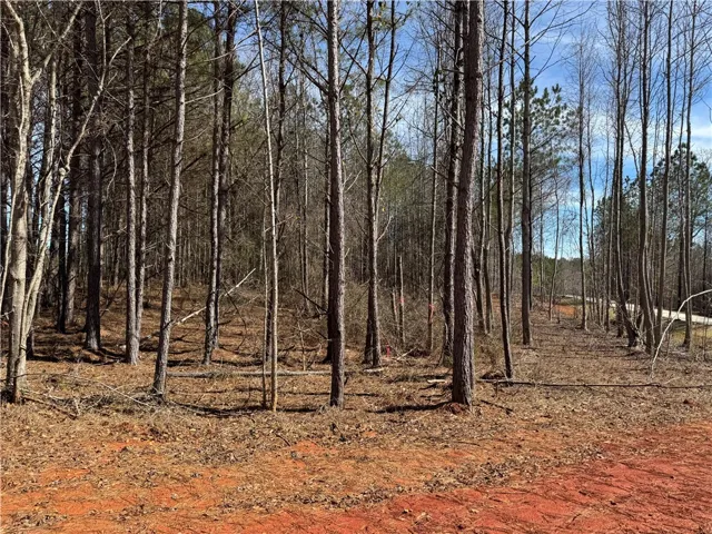 Lot 2a-1 Lee Road 155 N/a, Salem, Alabama 36874