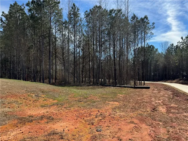 Lot 2a-1 Lee Road 155 N/a, Salem, Alabama 36874