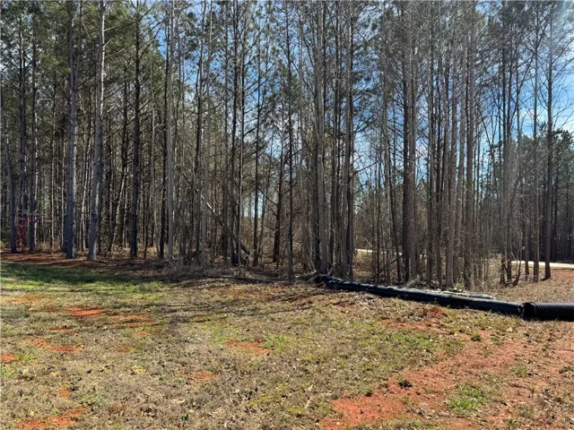 Lot 2a-1 Lee Road 155 N/a, Salem, Alabama 36874