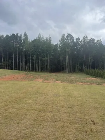 Lot 2a-1 Lee Road 155 N/a, Salem, Alabama 36874