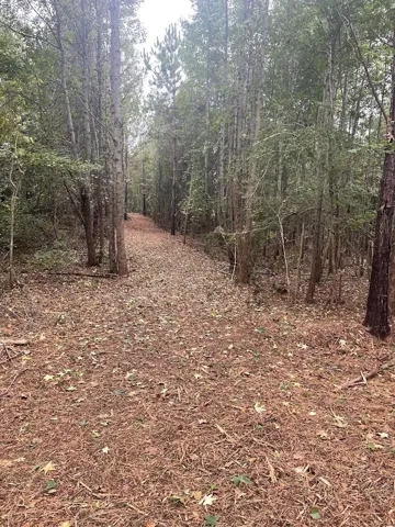 Lot 2a-1 Lee Road 155 N/a, Salem, Alabama 36874