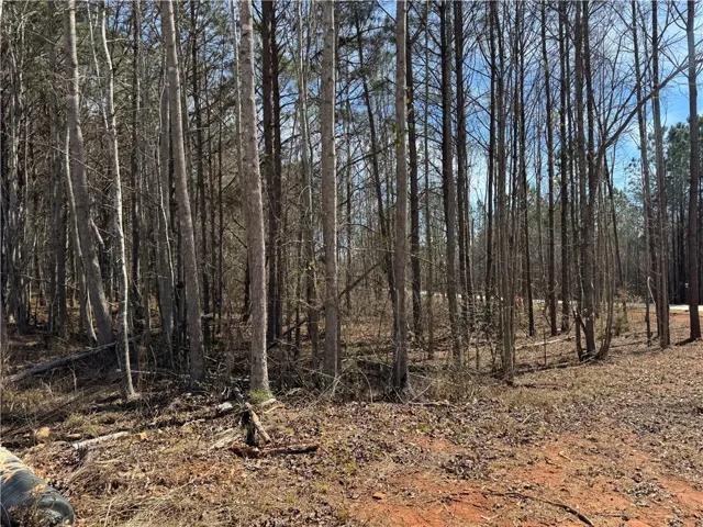 Lot 2a-1 Lee Road 155 N/a, Salem, Alabama 36874