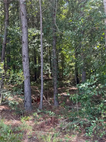 Lot 2a-1 Lee Road 155 N/a, Salem, Alabama 36874