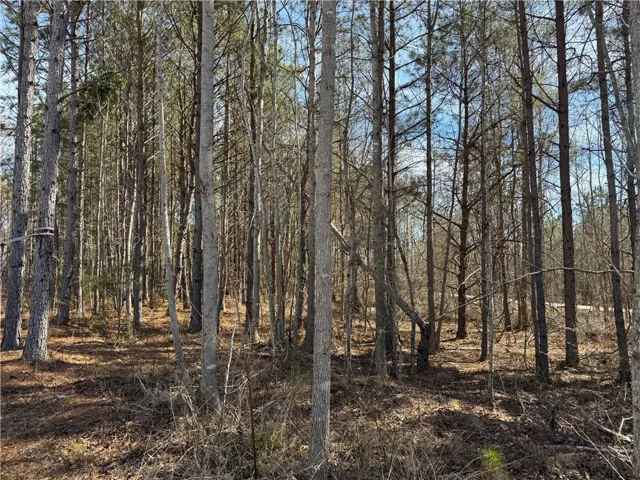 Lot 2a-1 Lee Road 155 N/a, Salem, Alabama 36874