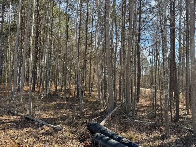 Lot 2a-1 Lee Road 155 N/a, Salem, Alabama 36874