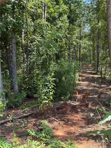 Lot 2a-1 Lee Road 155 N/a, Salem, Alabama 36874