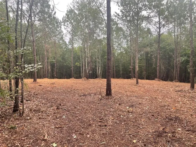 Lot 2a-1 Lee Road 155 N/a, Salem, Alabama 36874
