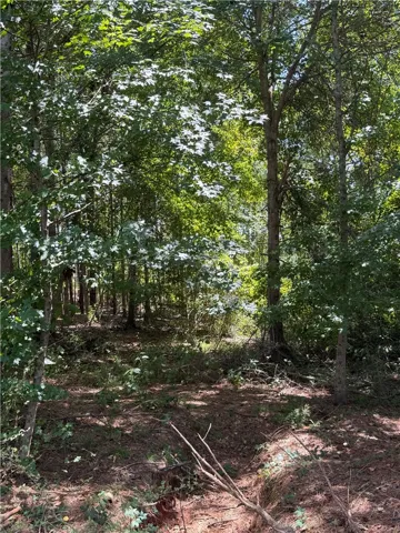 Lot 2a-1 Lee Road 155 N/a, Salem, Alabama 36874