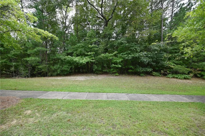 2562 Blackwood Court, Auburn, Alabama 36830