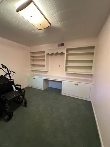 Basement office